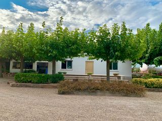 Finca rústica a Alcover. Finca amb caseta, oliveres, pou i amb plena producció
