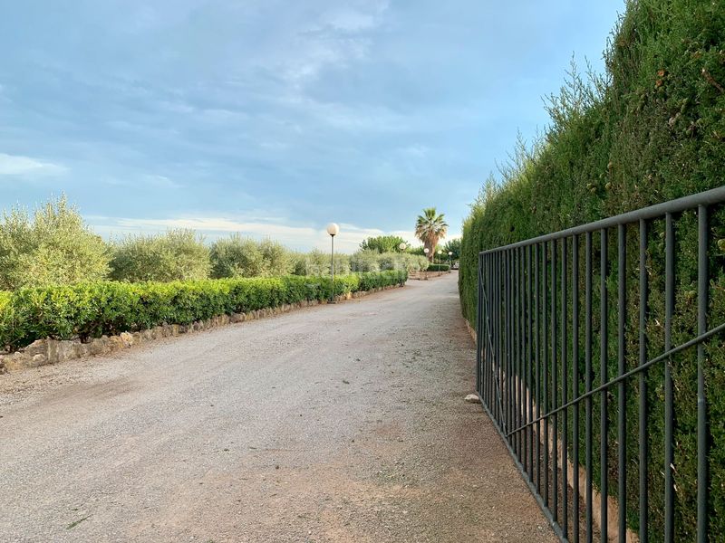 Foto 4e001fc6-4665-4e69-98ff-fcbf321d5f52. Finca rústica a Alcover