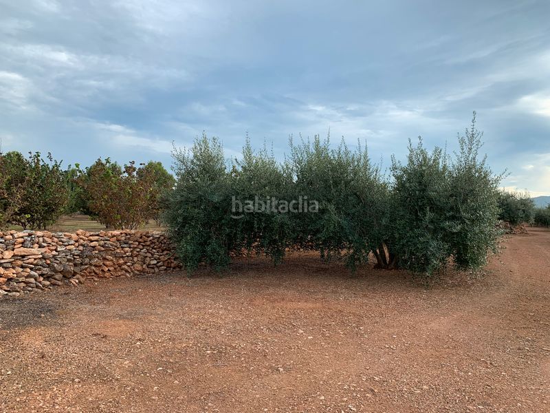 Foto 56d30110-39b9-4ac0-9082-9c99a064d89e. Finca rústica a Alcover