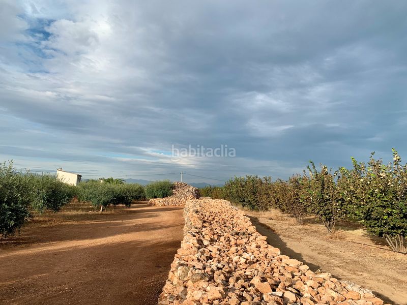 Foto 5c99987d-362a-4597-ae76-87e294d0935a. Finca rústica a Alcover