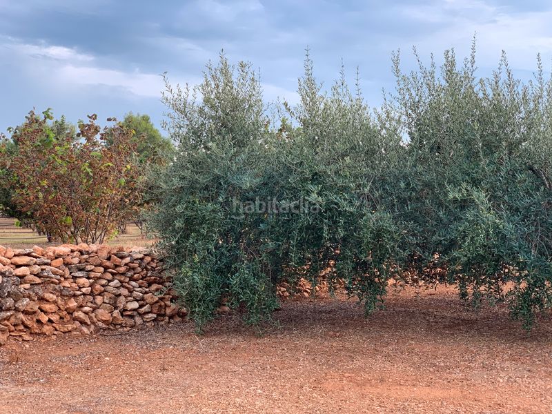 Foto 728f5761-4f92-494d-b5b2-dca493863b19. Finca rústica a Alcover