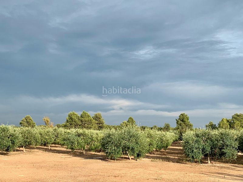 Foto 7f43b826-ecb8-442b-b062-3d0e13404ab1. Finca rústica a Alcover