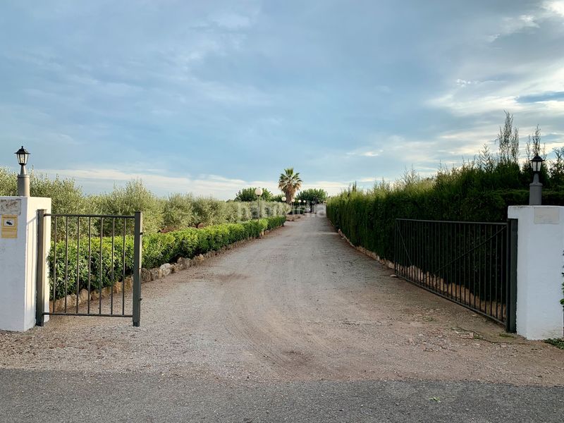 Foto b3d89c36-1693-4250-a985-664e3bf8c51d. Finca rústica a Alcover