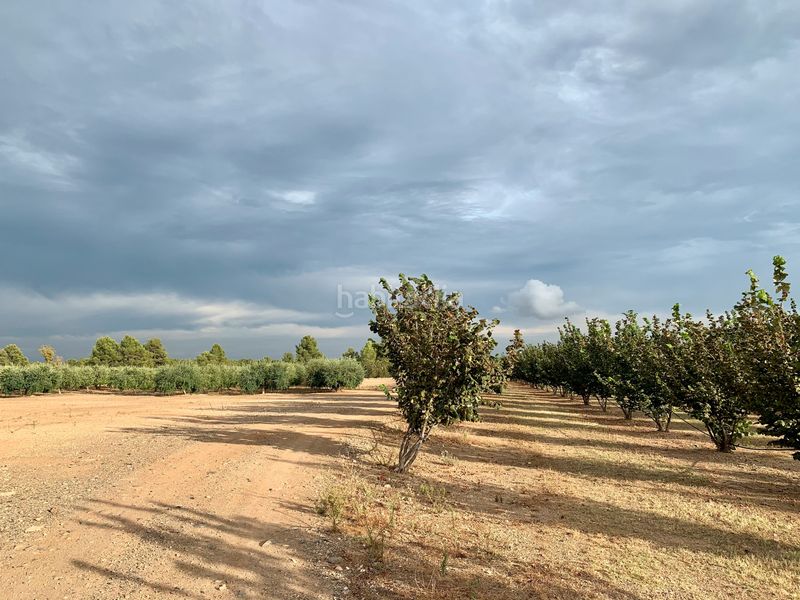 Foto c928e4c0-21f0-4724-9b07-0832675d621b. Finca rústica a Alcover