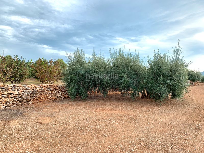 Foto e1f1b535-f5d3-451f-9cb3-b35413c82656. Finca rústica a Alcover