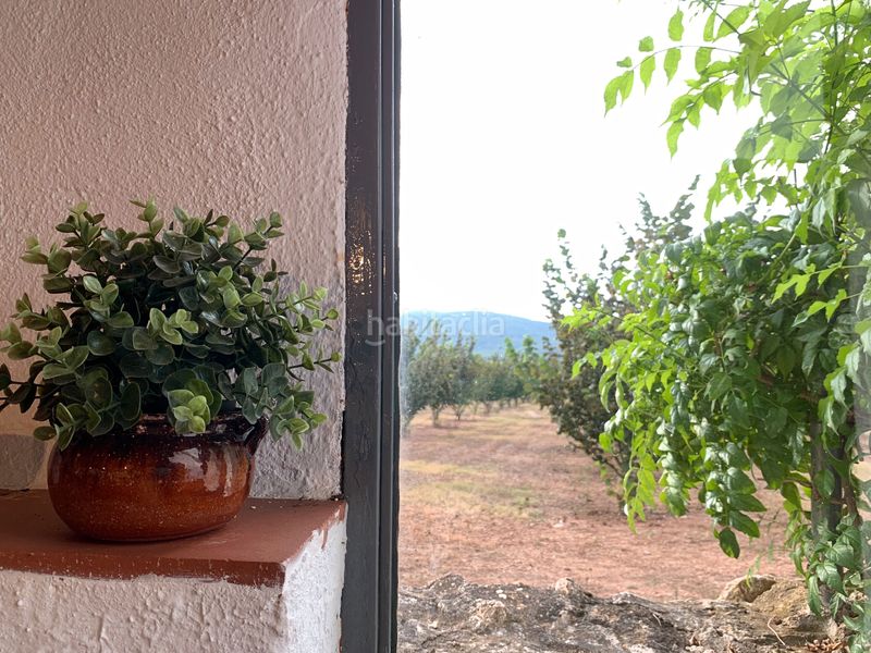 Foto f70a9841-ab9e-4288-b231-5fa60589bdf5. Finca rústica a Alcover