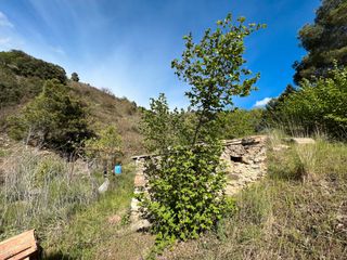 Fondo rustico in Cornudella de Montsant. Finca de 15 hectàries amb caseta per a reformar de 25 m2