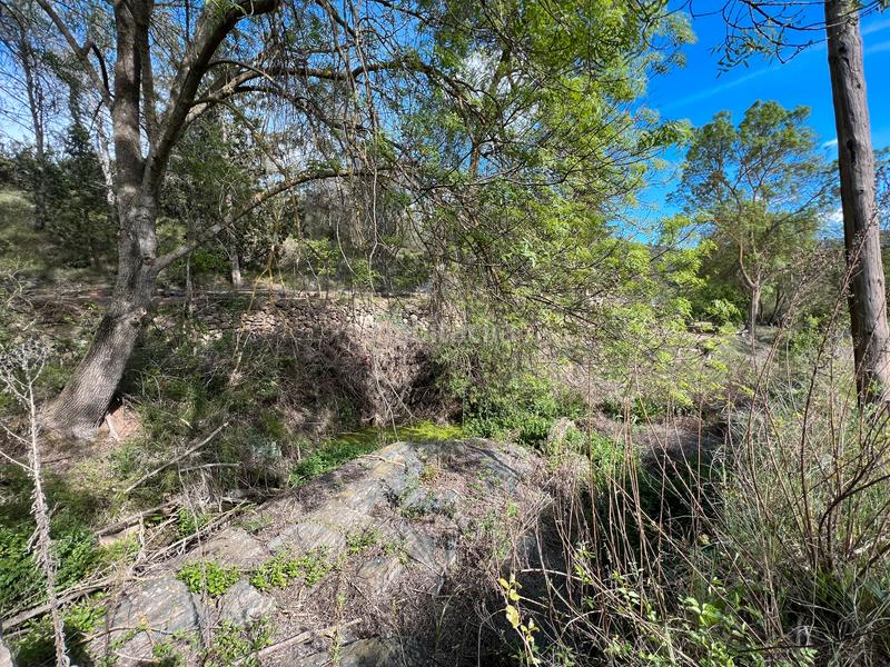 Foto 11126950-c3bb-4dcf-8d47-584d77d820bc. Rural plot in Cornudella de Montsant