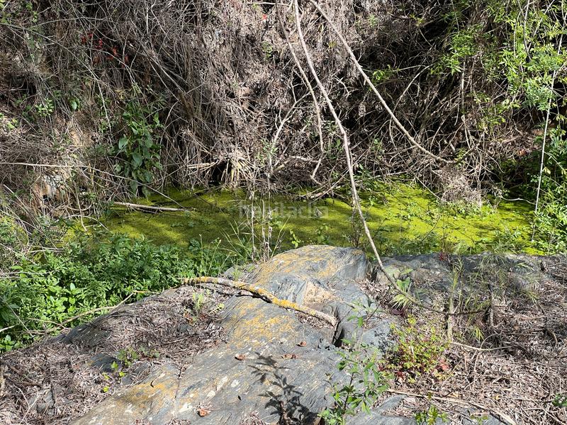 Foto 5da65f6a-a071-4ed6-8702-79508053f2ff. Rural plot in Cornudella de Montsant