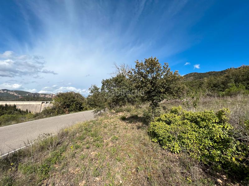 Foto 6124543c-f9d7-4071-bf24-434f9cc4bc1d. Rural plot in Cornudella de Montsant