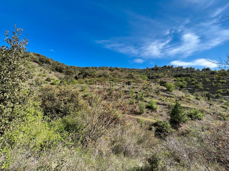 Foto a8b32f4f-505d-47f4-9f9e-f7a17c19466f. Rural plot in Cornudella de Montsant