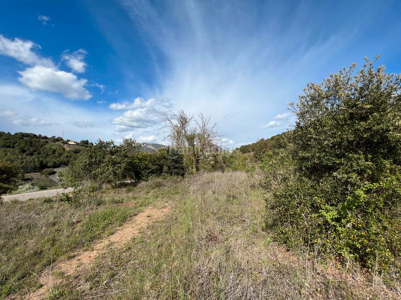 Foto b064e347-c383-49ee-aa09-044feefafa78. Rural plot in Cornudella de Montsant