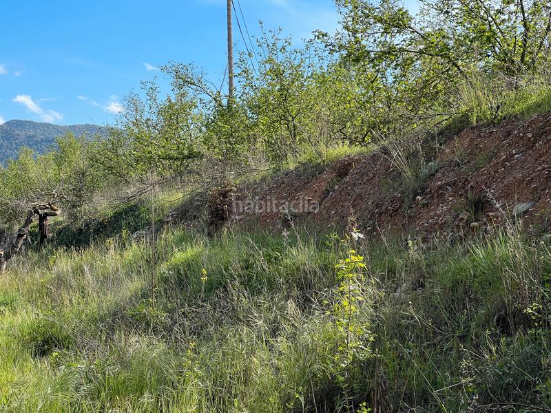 Foto fe849642-1b80-49b1-9f0b-8f6a081cc32f. Rural plot in Cornudella de Montsant