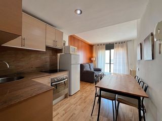 Loft a Carrer del camí de tarragona 13. Pis d'una habitació tipus loft amb terrassa-balcó orientada a su