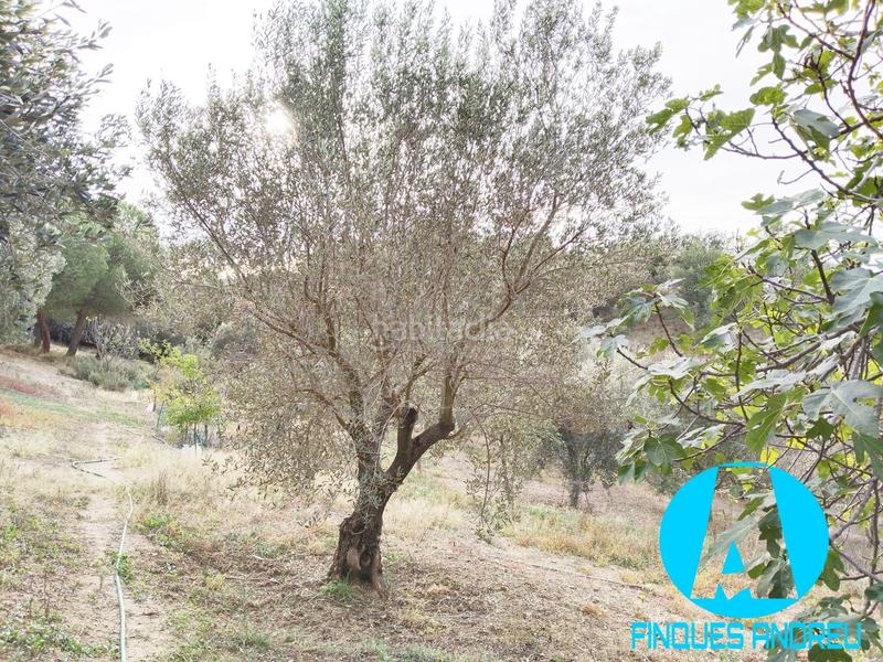 Foto 5619111b-7875-4682-8305-187534ef2a11. Casa  señorial con terreno y piscina en Lliçà d´Amunt