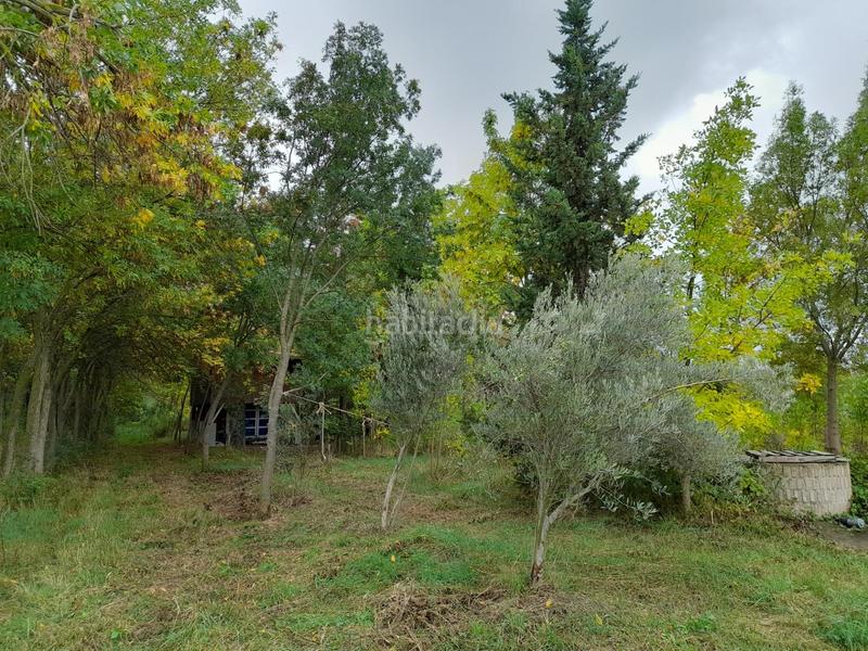 Foto 00d39bf0-4ef6-4296-8172-a3cfb76d5dfd. Finca rústica finca rustica en Marcilla