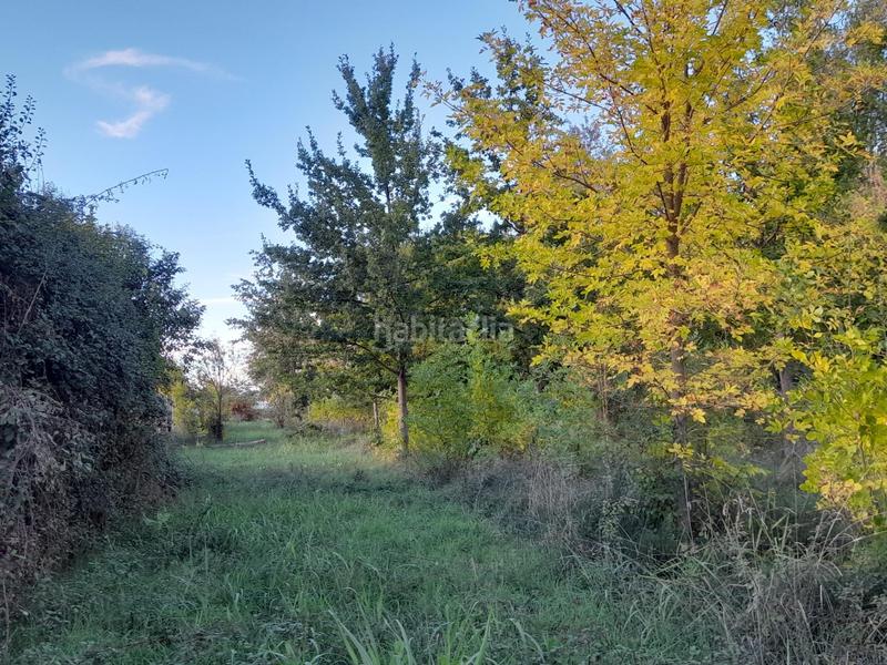 Foto 41ad1261-ce02-4d38-b523-2842427ac5bd. Finca rústica finca rustica en Marcilla