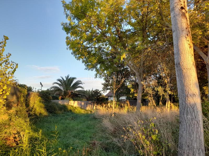 Foto a9158300-09e3-44f0-a469-051f4c9dfce5. Finca rústica finca rustica en Marcilla