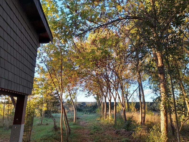 Foto b8d12088-acbc-4582-b080-d2940cbb074e. Finca rústica finca rustica en Marcilla