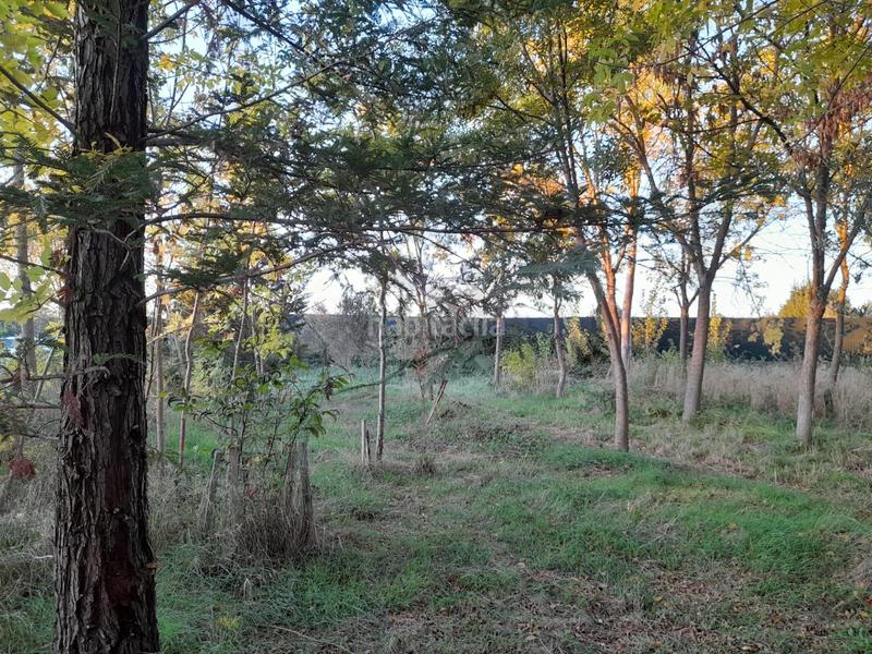 Foto f8f634ce-aaba-4646-816e-8d0b7e757a91. Finca rústica finca rustica en Marcilla