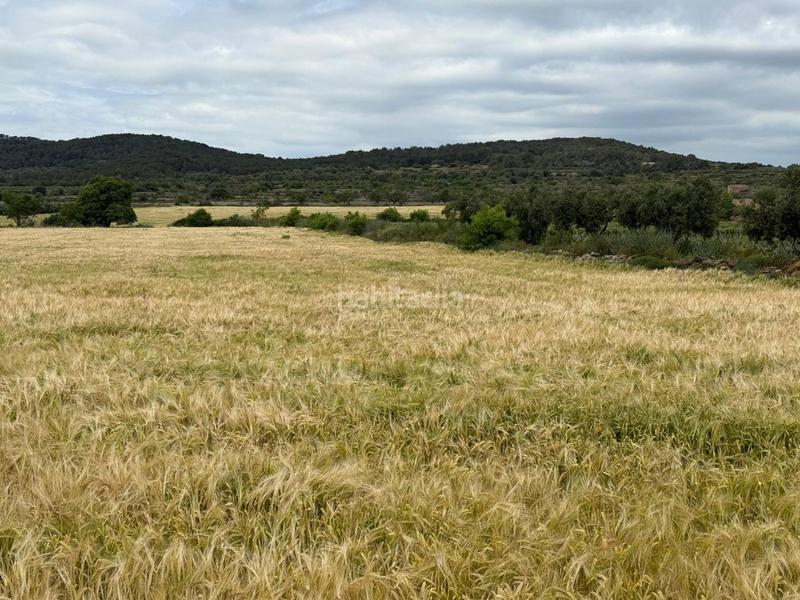 Foto 32b03146-956d-4ddc-88b4-705b2b1921f9. Bauernhof in Masllorenç