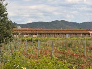 Mas à Masllorenç. Finca rúst. en venta en masllorenç.