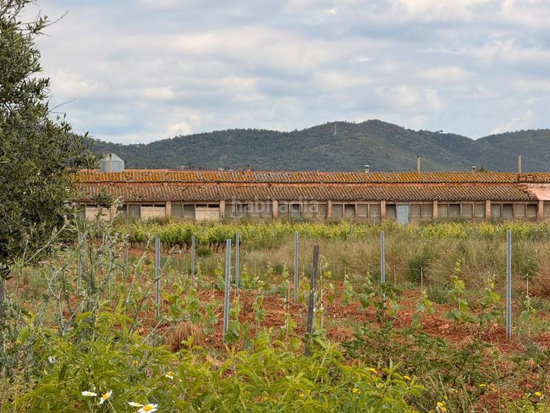 Foto 38c4c4c1-0e93-4152-8cc4-4aca2dfe3ea9. Bauernhof in Masllorenç