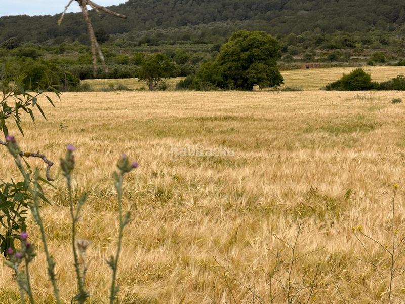 Foto 6d89b1df-81d0-49ce-b158-2209ed4f5ef3. Bauernhof in Masllorenç