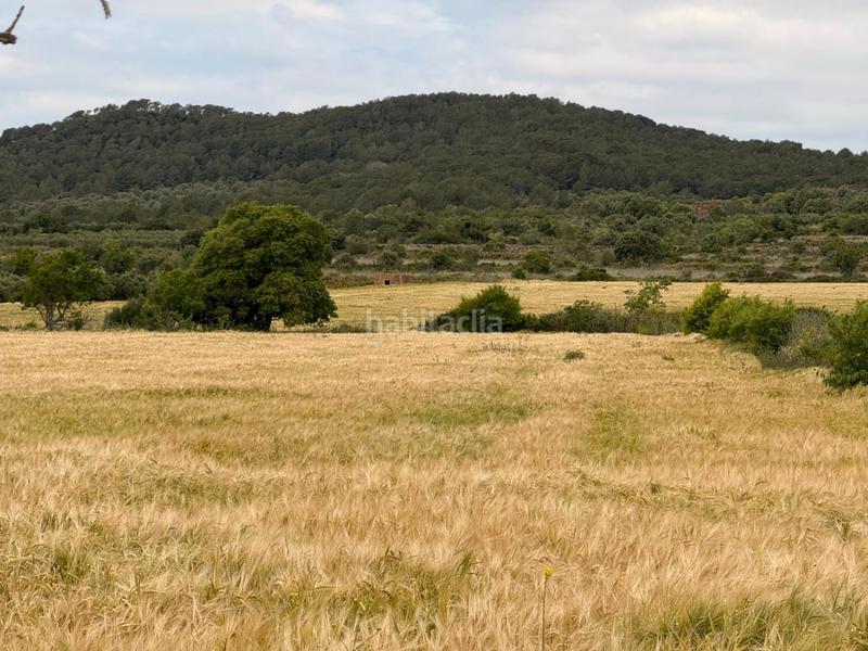 Foto aaf1e288-243c-4657-ad98-29774536b8a0. Bauernhof in Masllorenç