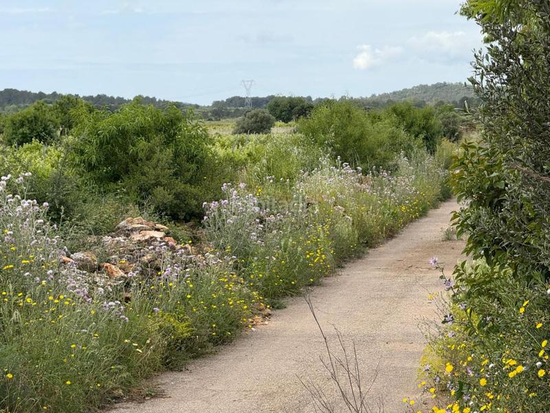 Foto d943c9c1-6dc0-432b-8e3d-ef63ef7170bd. Bauernhof in Masllorenç