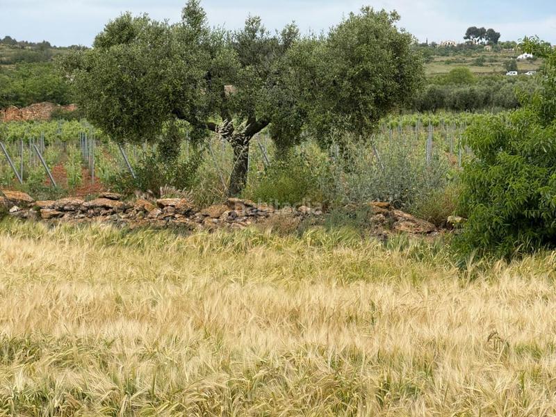 Foto ee50c5fa-bea9-4d1d-b3e3-a1c0c4e5721c. Bauernhof in Masllorenç