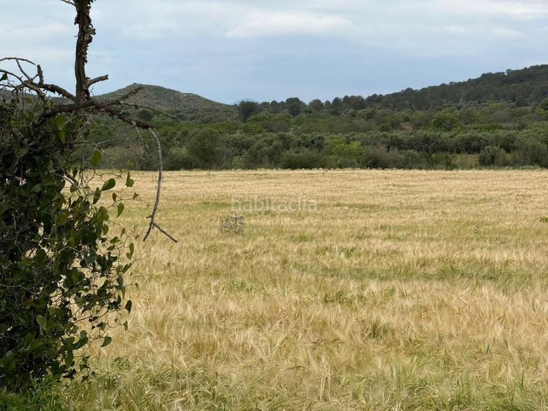 Foto ff014f13-1885-45d0-9d85-643635914b6c. Bauernhof in Masllorenç