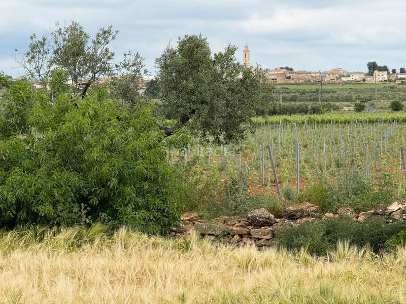 Foto ff45ff9e-bb4f-4e99-a0f4-33bd302758cd. Bauernhof in Masllorenç