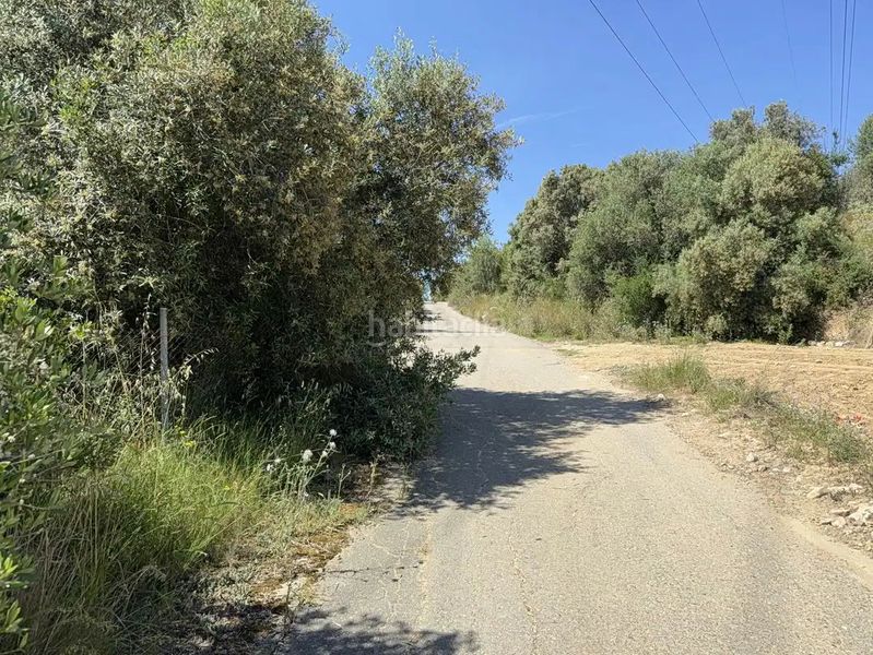 Foto fde6d107-b59c-4abc-81ca-d2a05e9e9d7e. Masia a Arboç (L´)