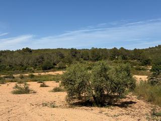 Masia a Vespella de Gaià. Finca rúst. en venta en tarragona. Masia a Vespella de Gaià. Finca rúst. en venta en tarragona.