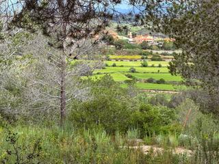Masia a Renau. Finca rúst. en venta en renau.