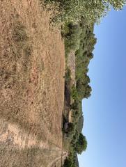 Masia a Creixell. Finca rúst. en venta en pobla de montornes la.