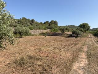 Masia a Pobla de Montornès (La). Finca rúst. en venta en pobla de montornes la.