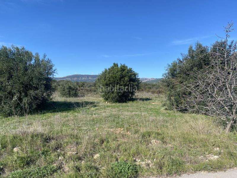 Foto 2ba56543-c3a1-4aee-a169-86e0fedd430e. Masía finca rúst. en venta en pont darmentera el. en Pont d´Armentera (El)