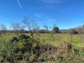 Masia a Pont d´Armentera (El). Finca rúst. en venta en pont darmentera el.