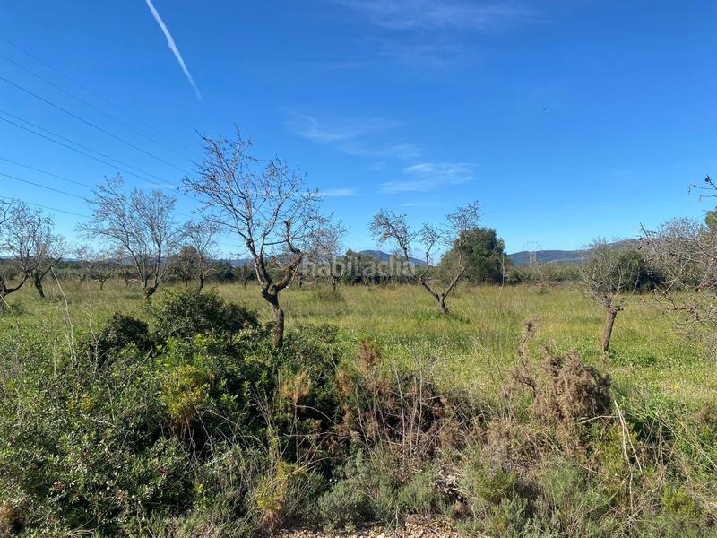 Foto a3c97d41-e97f-4885-93bd-b1cbd10c6ffe. Masía finca rúst. en venta en pont darmentera el. en Pont d´Armentera (El)