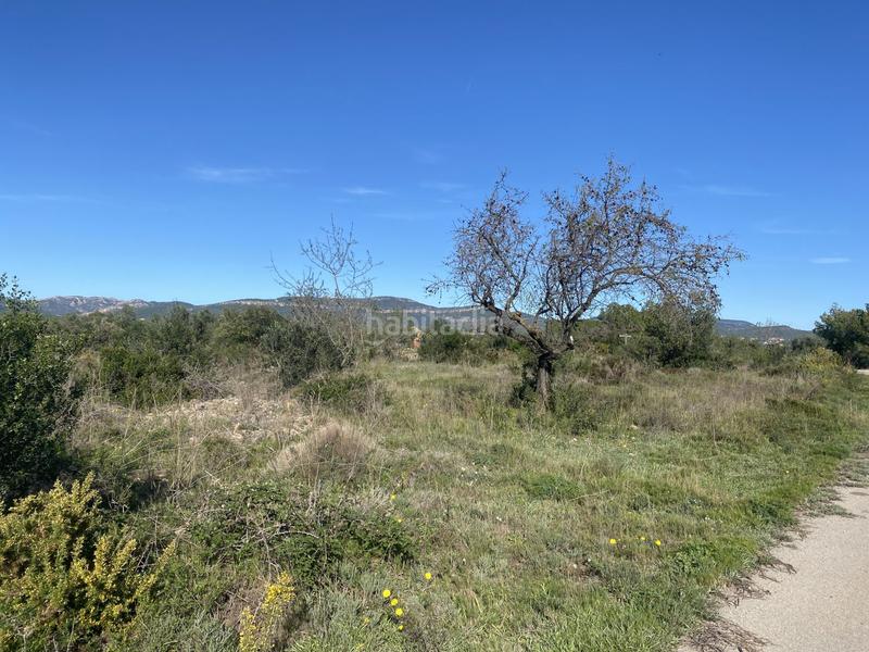 Foto a47f976a-4fb5-430e-b3ca-1b02ed756d7b. Masía finca rúst. en venta en pont darmentera el. en Pont d´Armentera (El)
