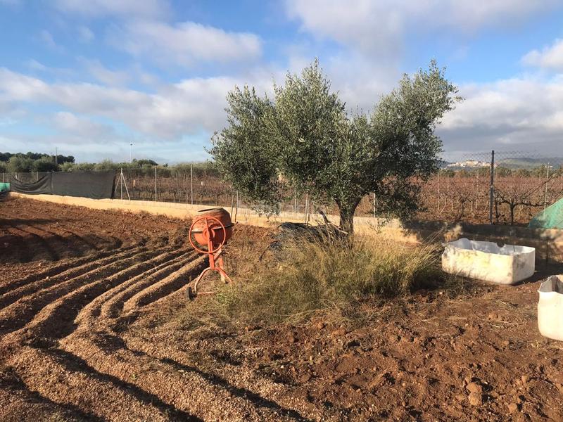 Foto f9e9faca-9f8f-4b42-aad5-9294958326db. Casale in Calafell residencial Calafell