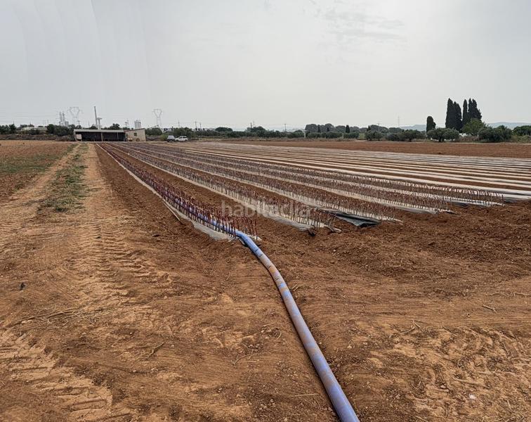 Foto 6ba1f16c-9982-4114-b957-a914fa5e99f4. Masía finca rúst. en venta . en Bellvei