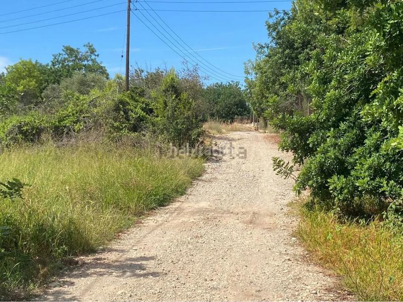 Foto 0044336b-becc-4388-9453-8f33dc0ac051. Fondo rustico in extrarradio diseminado 1 in Roda de Barà