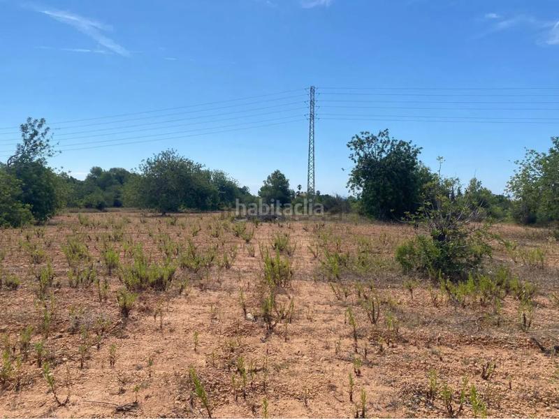 Foto 2b11718e-928d-445f-93e0-d412fff98947. Fondo rustico in extrarradio diseminado 1 in Roda de Barà