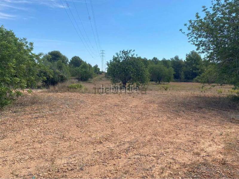 Foto 3a96d44d-f5bc-4c6e-8159-86e3a3e1e44d. Fondo rustico in extrarradio diseminado 1 in Roda de Barà