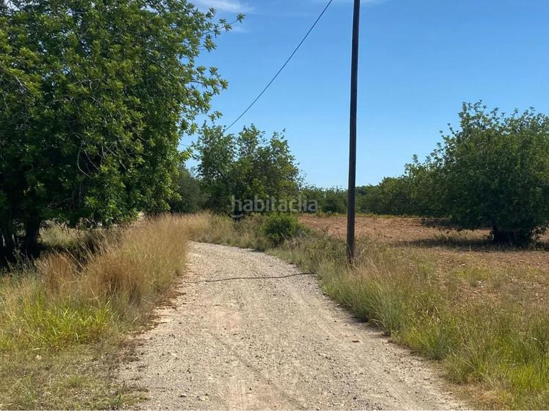 Foto 69503d83-ac10-4a22-a1c5-7a7b211e648e. Fondo rustico in extrarradio diseminado 1 in Roda de Barà