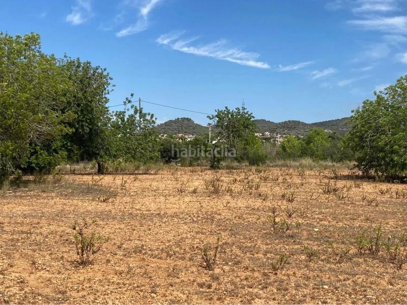 Foto 6e39f998-8a85-4e84-be15-cfc6c07c0351. Fondo rustico in extrarradio diseminado 1 in Roda de Barà