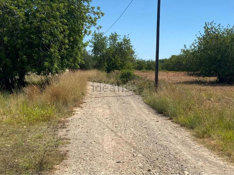 Foto 7ea0f287-6541-43d4-a55f-919be75a9553. Fondo rustico in extrarradio diseminado 1 in Roda de Barà